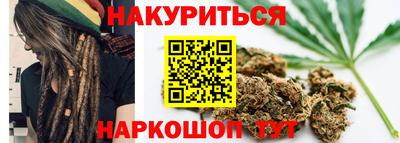 гашик Будённовск