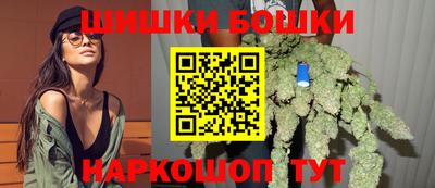 гашик Будённовск