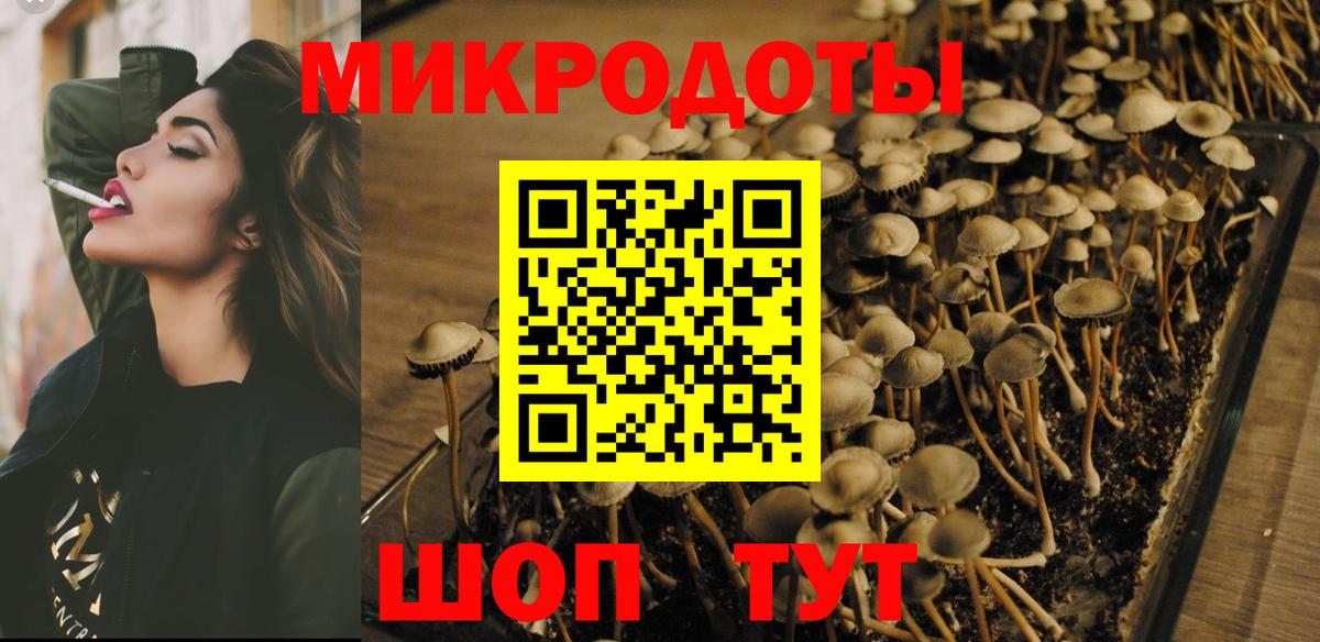 Псилоцибиновые грибы мицелий  Вход с VPN  Тобольск 